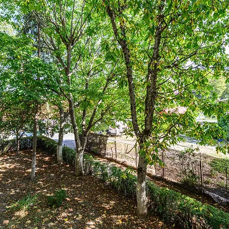 Bliss Dolomit - Free Parking - Self Check-in * Brașov