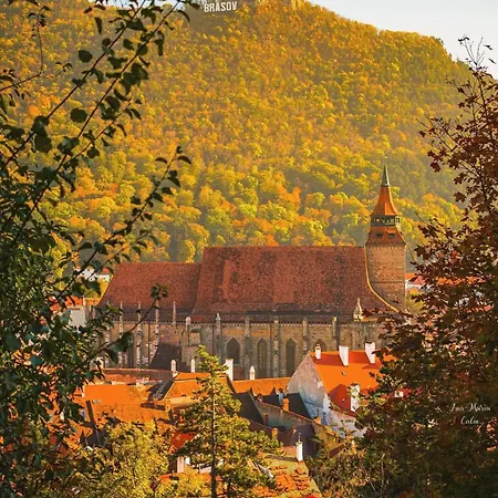 Bliss Dolomit Studio - Free Parking - Self Check-In *