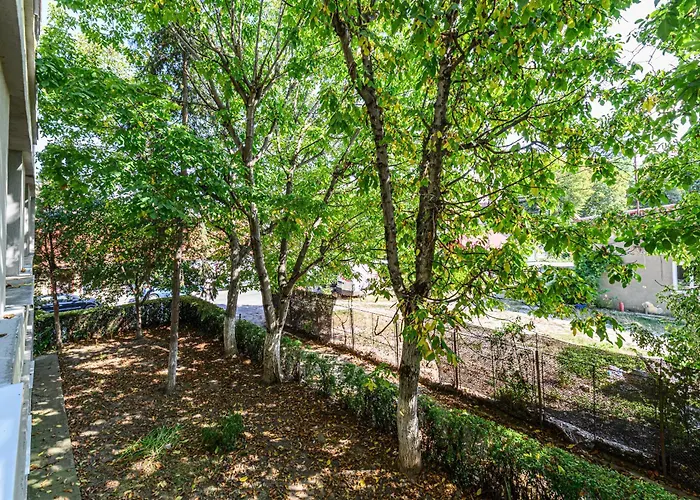 Bliss Dolomit - Free Parking - Self Check-in * Braşov